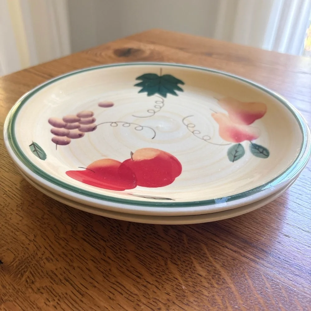 Royal Norfolk Fruit-Pattern Dinner Plates- set of 2-  Stoneware in Cream and Red
